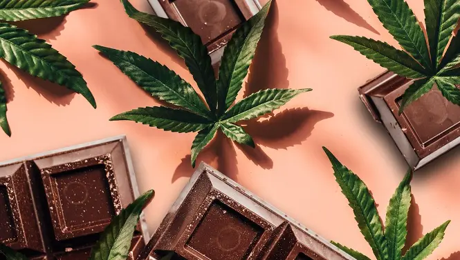 THC chocolate