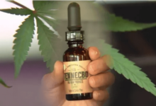 Is Cbd Legal in Tennessee