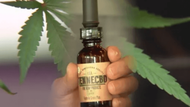 Is Cbd Legal in Tennessee