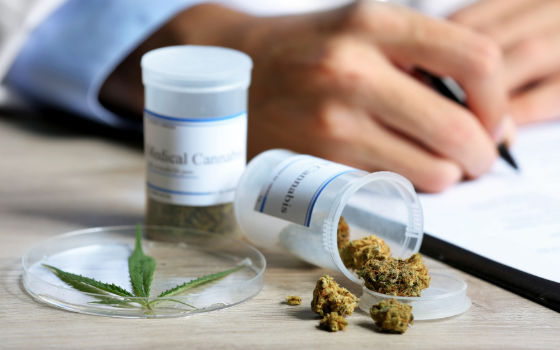 MMJ.com: Your Trusted Destination for Medical Marijuana Doctors Online