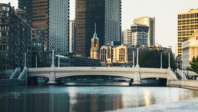 cbd s effect on ibs