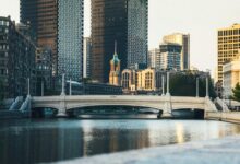 cbd s effects are complex