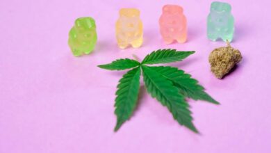 excessive cbd gummy consumption