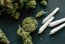 Medicinal Cannabis for the Treatment of Anxiety Disorders