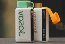 Vozol Vape 12000 Puffs Review: Your All-Day, No-Hassle Disposable Vape
