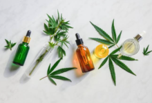 Pet CBD Oil: What Responsible Owners Should Check