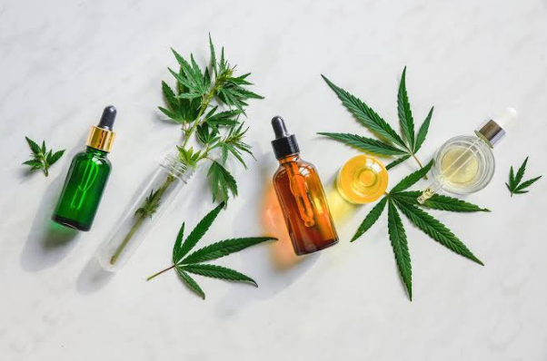 Pet CBD Oil: What Responsible Owners Should Check